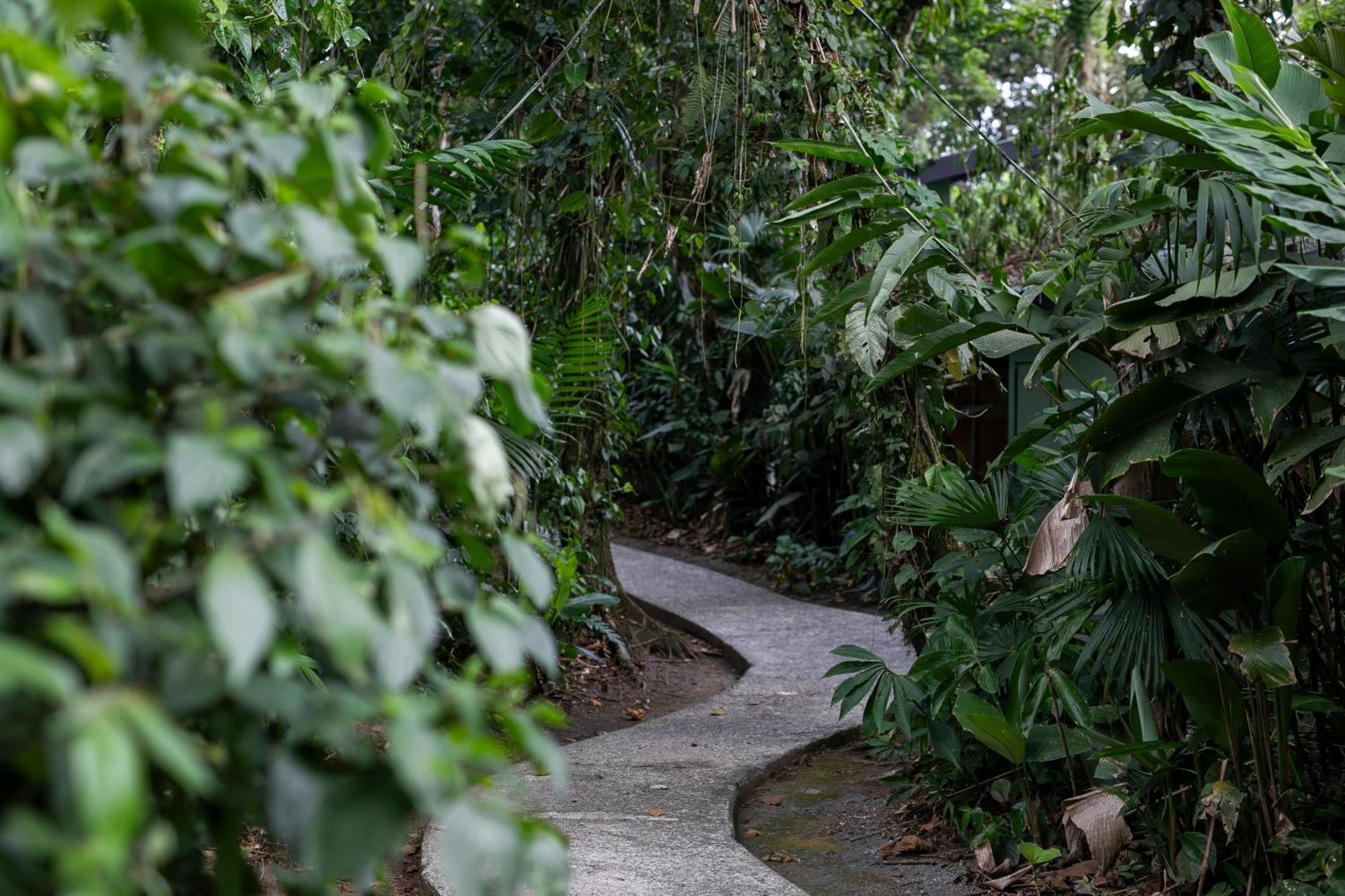 Sangregado Lodge La Fortuna Esterno foto