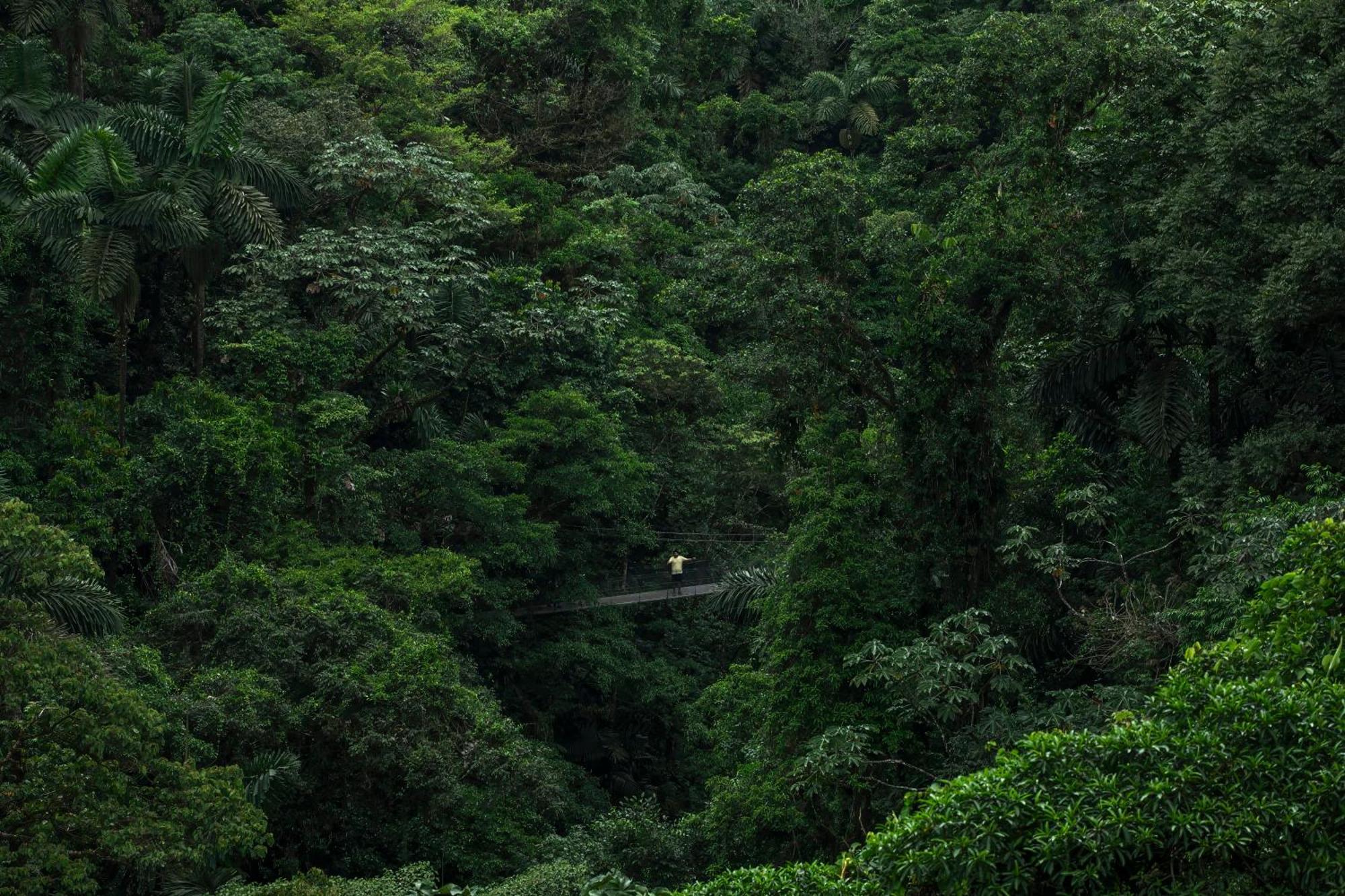 Sangregado Lodge La Fortuna Esterno foto