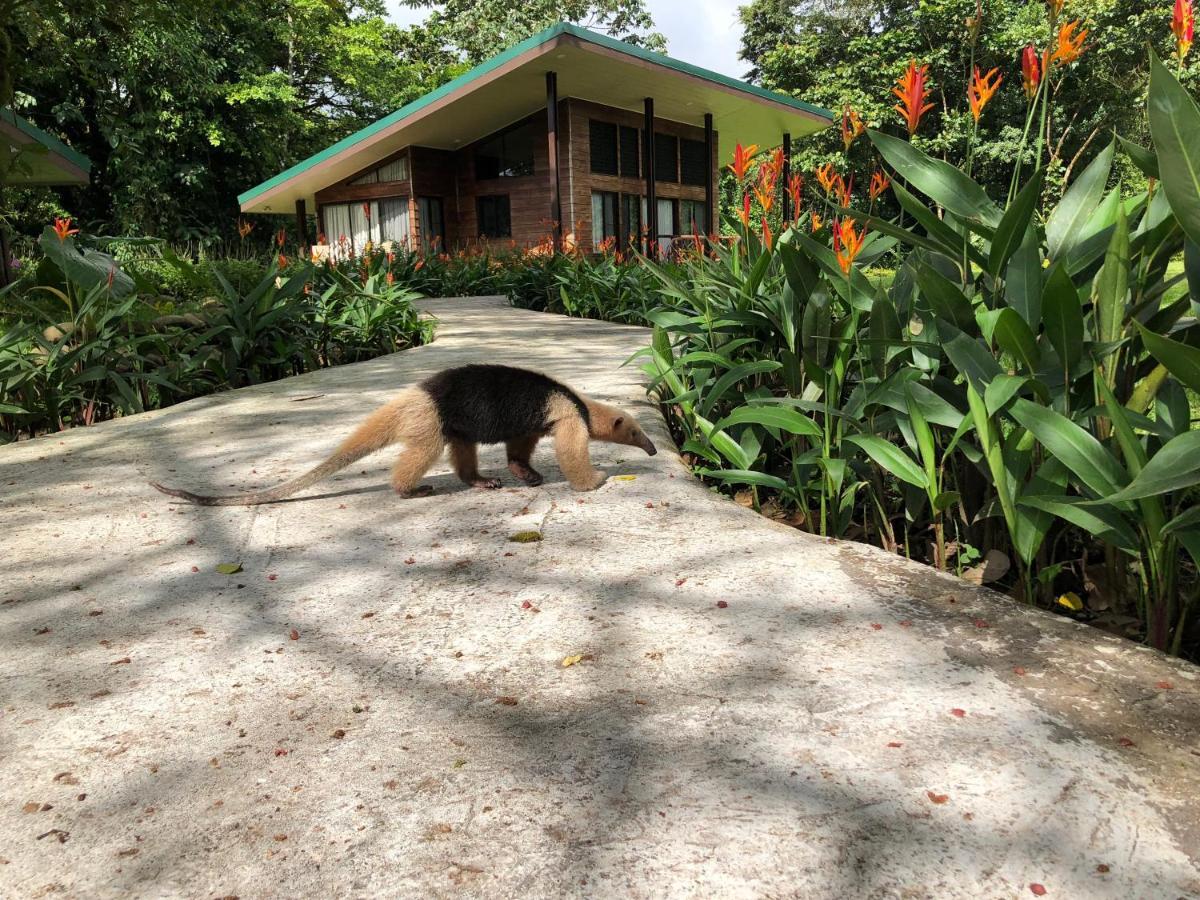 Sangregado Lodge La Fortuna Esterno foto